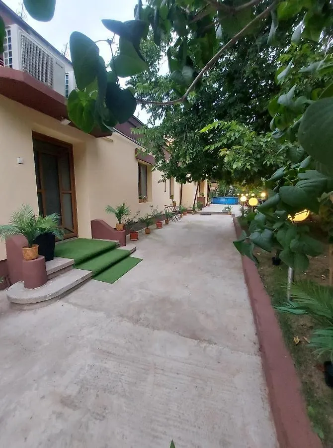 Ambient Apartament Apartment Bucharest Romania