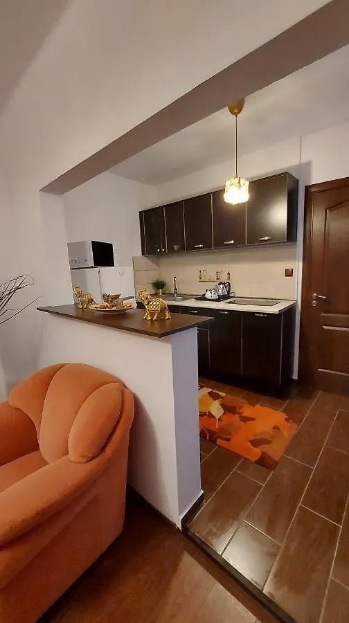 Ambient Apartament Apartment Bucharest