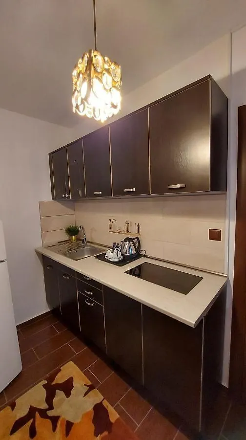Ambient Apartament Apartment Bucharest