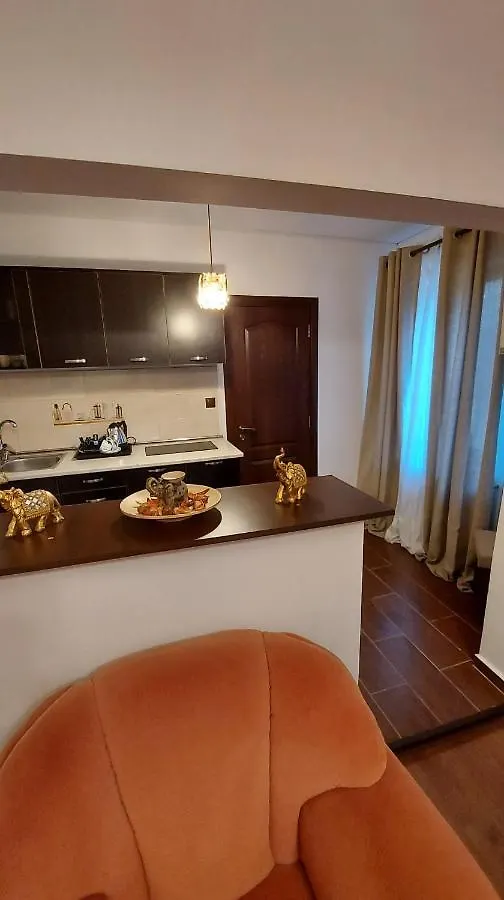 Ambient Apartament Apartment Bucharest